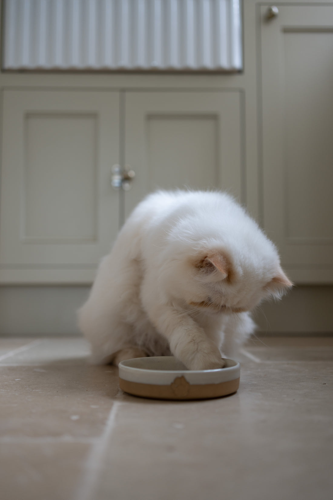 Stoneware Pet Bowl (Small)