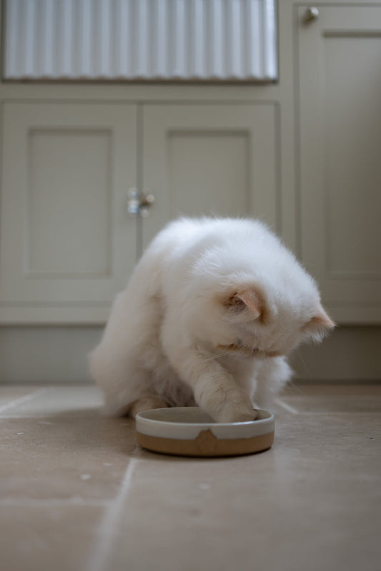 Stoneware Pet Bowl (Small)